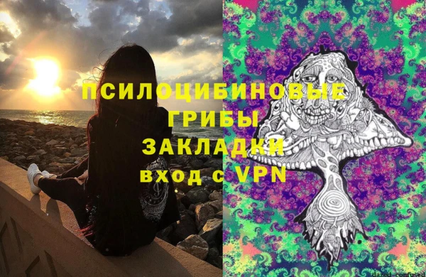 скорость Вяземский