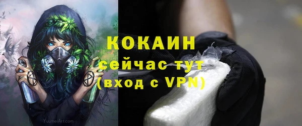 скорость Вяземский