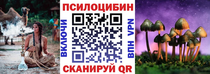купить  сайты  Новочеркасск  Псилоцибиновые грибы Magic Shrooms 